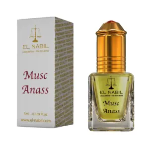 EL Nabil Musc Anass
